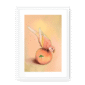 39143-framed-white-white-mount-peachy-parakeet-framed-print-31598301085852-12.png