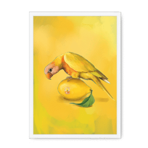 Lemon Lorikeet Framed Print
