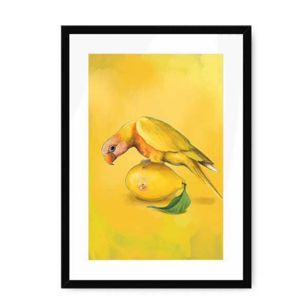 39144-framed-black-white-mount-lemon-lorikeet-framed-print-31599052619932-12.png