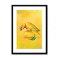 39144-framed-black-white-mount-lemon-lorikeet-framed-print-31599052619932-12.png