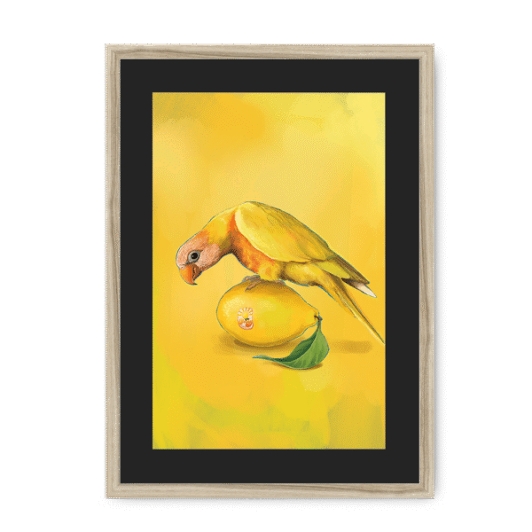 39144-framed-natural-black-mount-lemon-lorikeet-framed-print-31599052783772-12.png