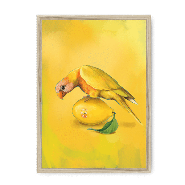 39144-framed-natural-lemon-lorikeet-framed-print-31599052325020-15.png