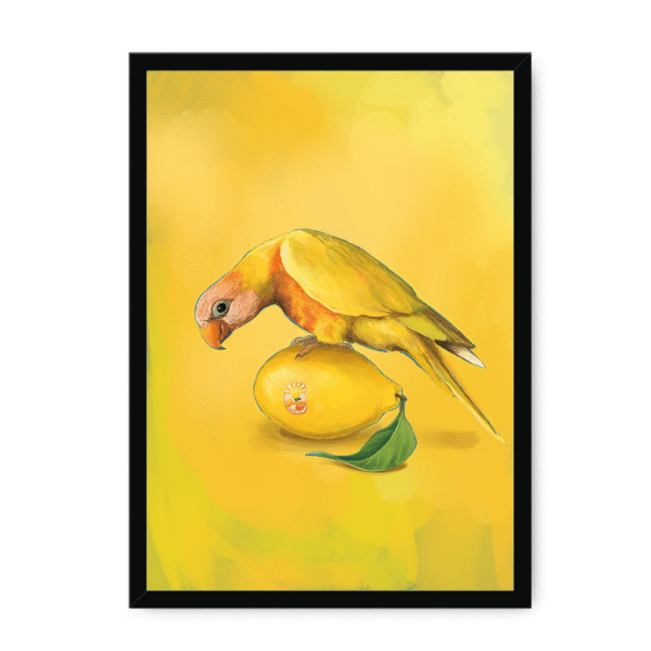 39144-framed-white-lemon-lorikeet-framed-print-31599052292252-15.png
