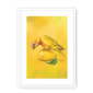 39144-framed-white-white-mount-lemon-lorikeet-framed-print-31599052554396-12.png