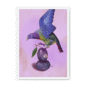 39145-framed-black-plum-pigeon-framed-print-31598072791196-15.png
