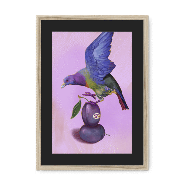 39145-framed-natural-black-mount-plum-pigeon-framed-print-31598073315484-12.png