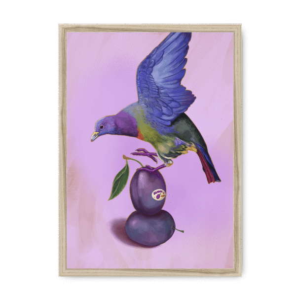 39145-framed-natural-plum-pigeon-framed-print-31598072856732-15.png
