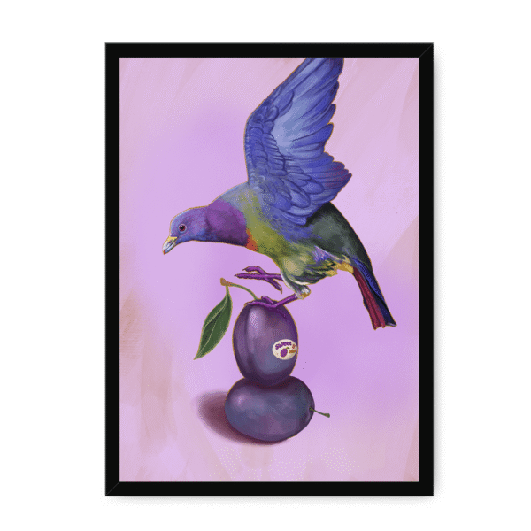 39145-framed-white-plum-pigeon-framed-print-31598072823964-15.png