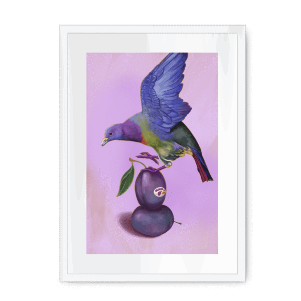 39145-framed-white-white-mount-plum-pigeon-framed-print-31598073118876-12.png