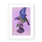 39145-framed-white-white-mount-plum-pigeon-framed-print-31598073118876-12.png
