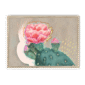 39174-framed-natural-prickly-in-pink-framed-print-31633034150044-18.png