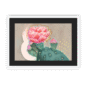 39174-framed-white-black-mount-prickly-in-pink-framed-print-31633034346652-14.png