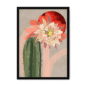 39175-framed-white-bloodmoon-bloom-framed-print-31633248354460-20.png