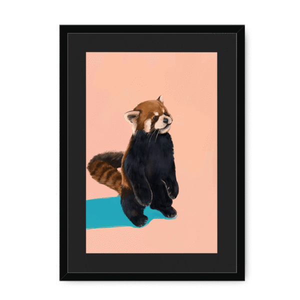 39201-framed-black-black-mount-red-panda-duo-pb-framed-print-36941184762105-12.png