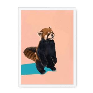 Red Panda Duo PB Framed Print