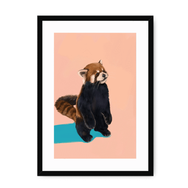 39201-framed-black-white-mount-red-panda-duo-pb-framed-print-36941184729337-12.png