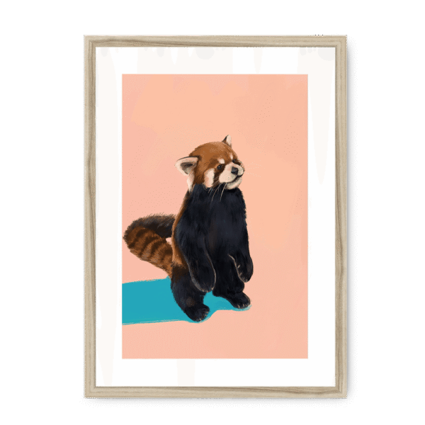 39201-framed-natural-white-mount-red-panda-duo-pb-framed-print-36941184794873-12.png