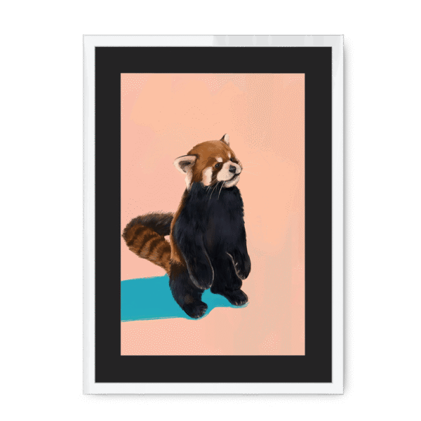 39201-framed-white-black-mount-red-panda-duo-pb-framed-print-36941184696569-12.png