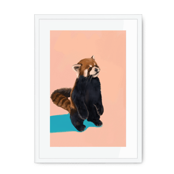 39201-framed-white-white-mount-red-panda-duo-pb-framed-print-36941184663801-12.png