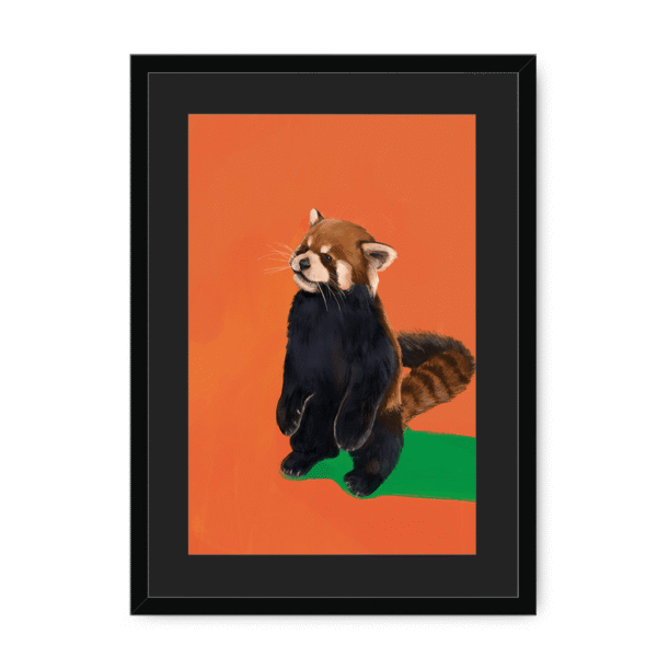 39202-framed-black-black-mount-red-panda-duo-og-framed-print-36941169033465-12.png