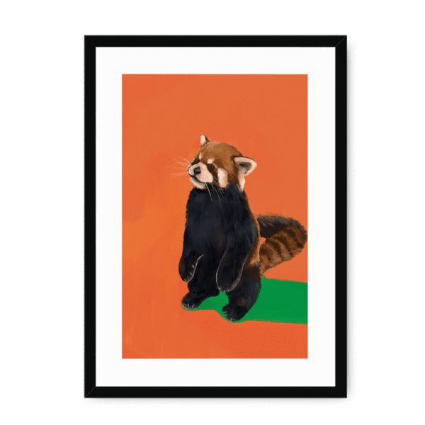 39202-framed-black-white-mount-red-panda-duo-og-framed-print-36941169000697-12.png