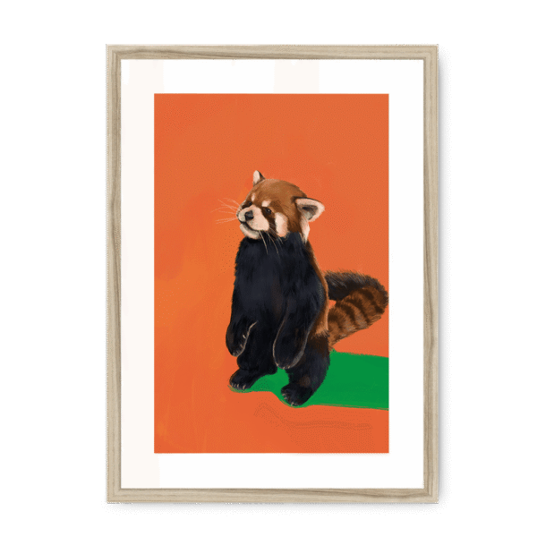 39202-framed-natural-white-mount-red-panda-duo-og-framed-print-36941169066233-12.png