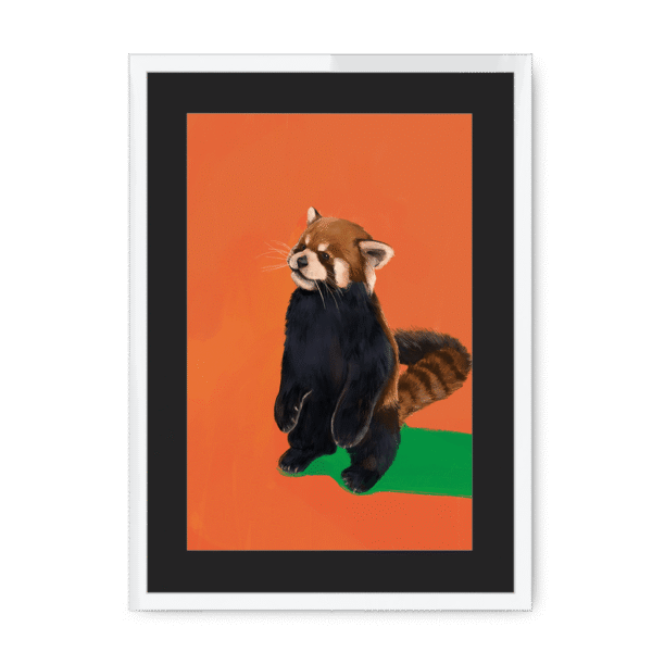 39202-framed-white-black-mount-red-panda-duo-og-framed-print-36941168967929-12.png