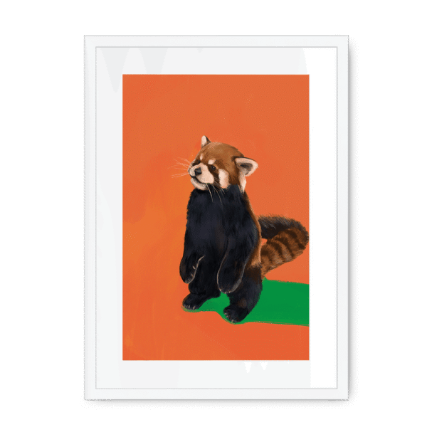 39202-framed-white-white-mount-red-panda-duo-og-framed-print-36941168935161-12.png