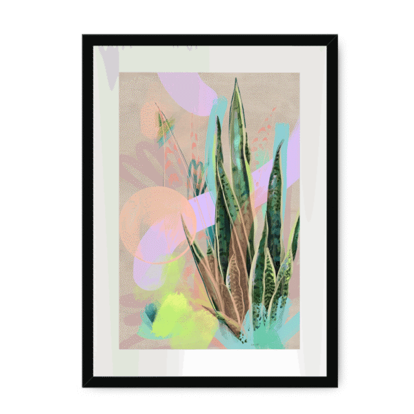 3949-framed-black-white-mount-tropic-pop-framed-print-31633321787548-20.png