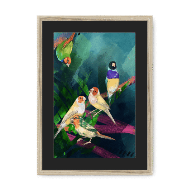 3950-framed-natural-black-mount-a-fandango-of-finches-framed-print-31613879386268-16.png