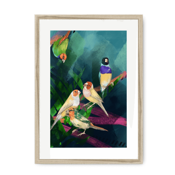3950-framed-natural-white-mount-a-fandango-of-finches-framed-print-31613879287964-16.png