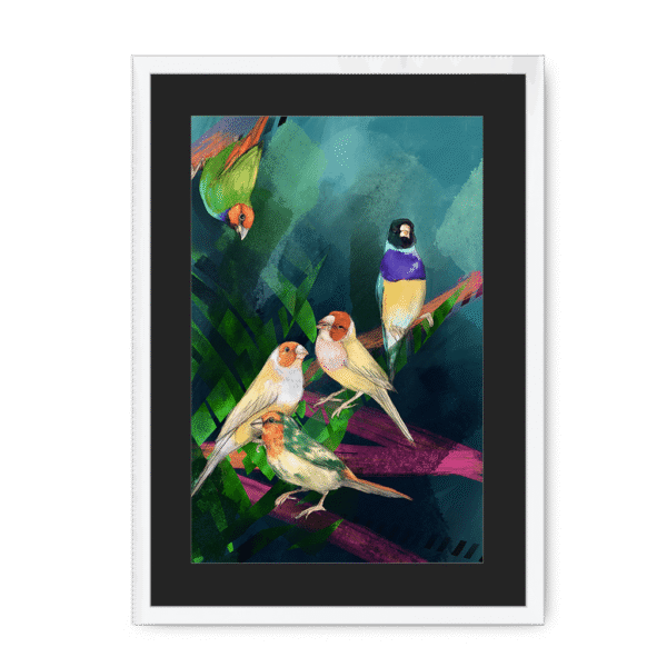 3950-framed-white-black-mount-a-fandango-of-finches-framed-print-31613879025820-16.png