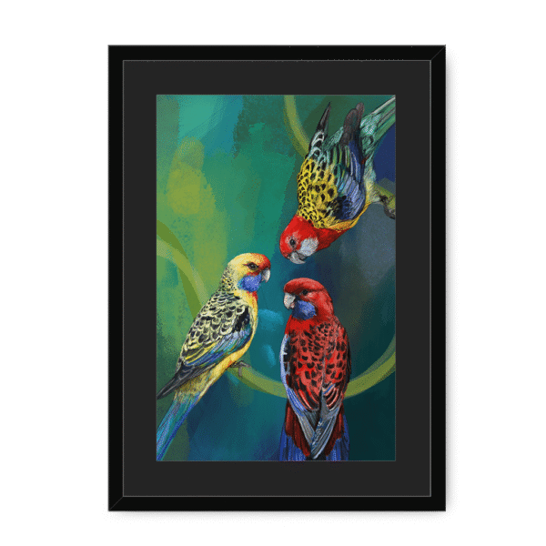 3951-framed-black-black-mount-rondel-of-rosellas-framed-print-31613396091036-16.png