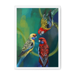 Rondel Of Rosellas Framed Print