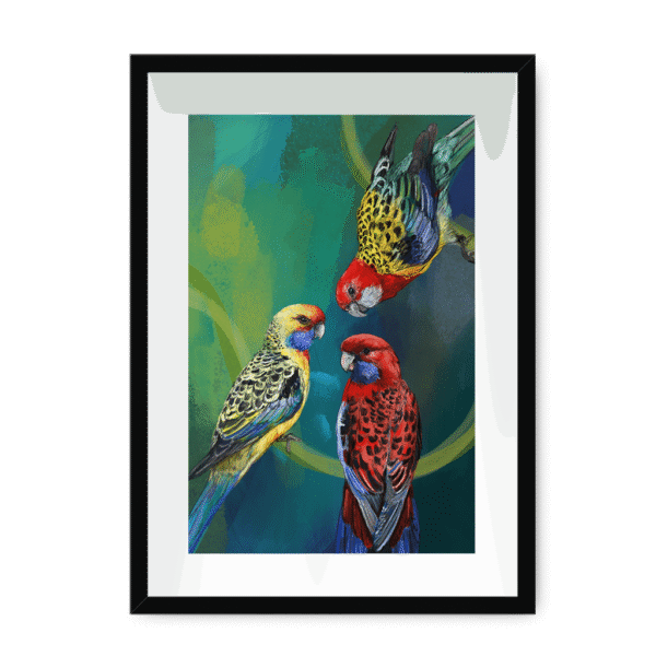 3951-framed-black-white-mount-rondel-of-rosellas-framed-print-31613396058268-16.png