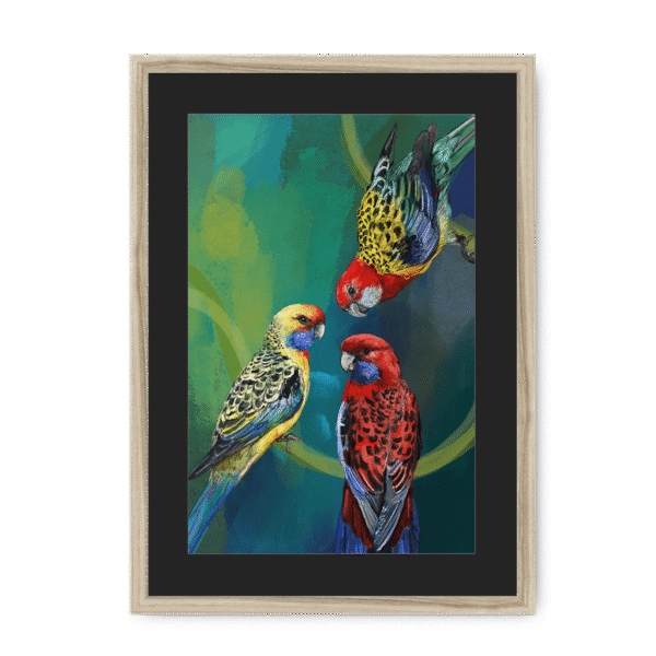 3951-framed-natural-black-mount-rondel-of-rosellas-framed-print-31613396156572-16.png