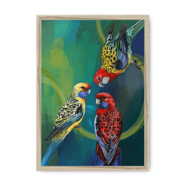 3951-framed-natural-rondel-of-rosellas-framed-print-31613395828892-20.png
