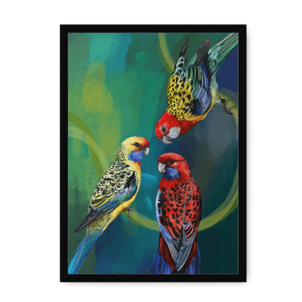 3951-framed-white-rondel-of-rosellas-framed-print-31613395796124-20.png