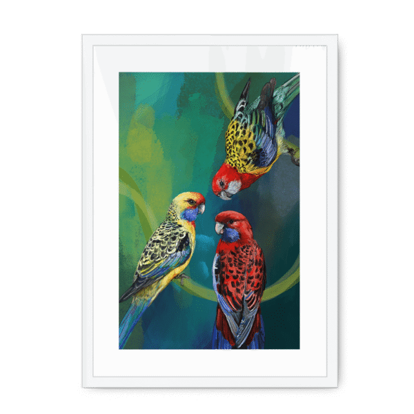 3951-framed-white-white-mount-rondel-of-rosellas-framed-print-31613395992732-16.png
