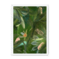 3957-framed-black-fougere-fou-framed-print-31599598239900-24.png