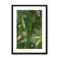 3957-framed-black-white-mount-fougere-fou-framed-print-31599598534812-19.png