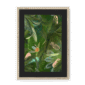 3957-framed-natural-black-mount-fougere-fou-framed-print-31599598633116-19.png