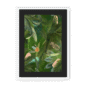 3957-framed-white-black-mount-fougere-fou-framed-print-31599598502044-19.png