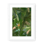 3957-framed-white-white-mount-fougere-fou-framed-print-31599598469276-19.png