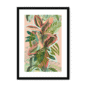 39956-framed-black-white-mount-ruby-rubber-jungle-framed-print-31599282127004-12.png