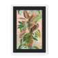 39956-framed-white-black-mount-ruby-rubber-jungle-framed-print-31599282094236-12.png