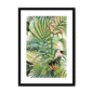 3996-framed-black-white-mount-fluttering-flora-framed-print-31622020825244-12.png