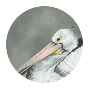 Pelican Giclée Art Print