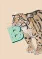 4177-b-alphapard-art-print-31877608374428-12.jpg