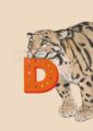 4177-d-alphapard-art-print-31877608472732-12.jpg